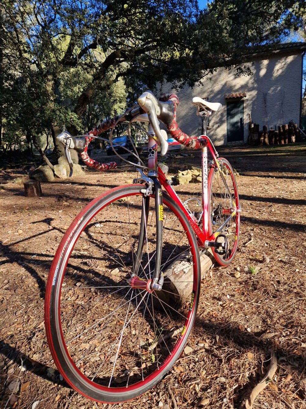 Magnifiques Colnago Master olympique Vélos