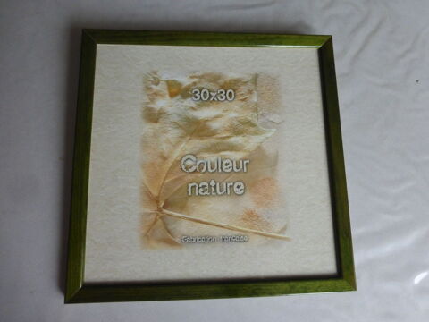 CADRE encadrement vert 5 Doussard (74)