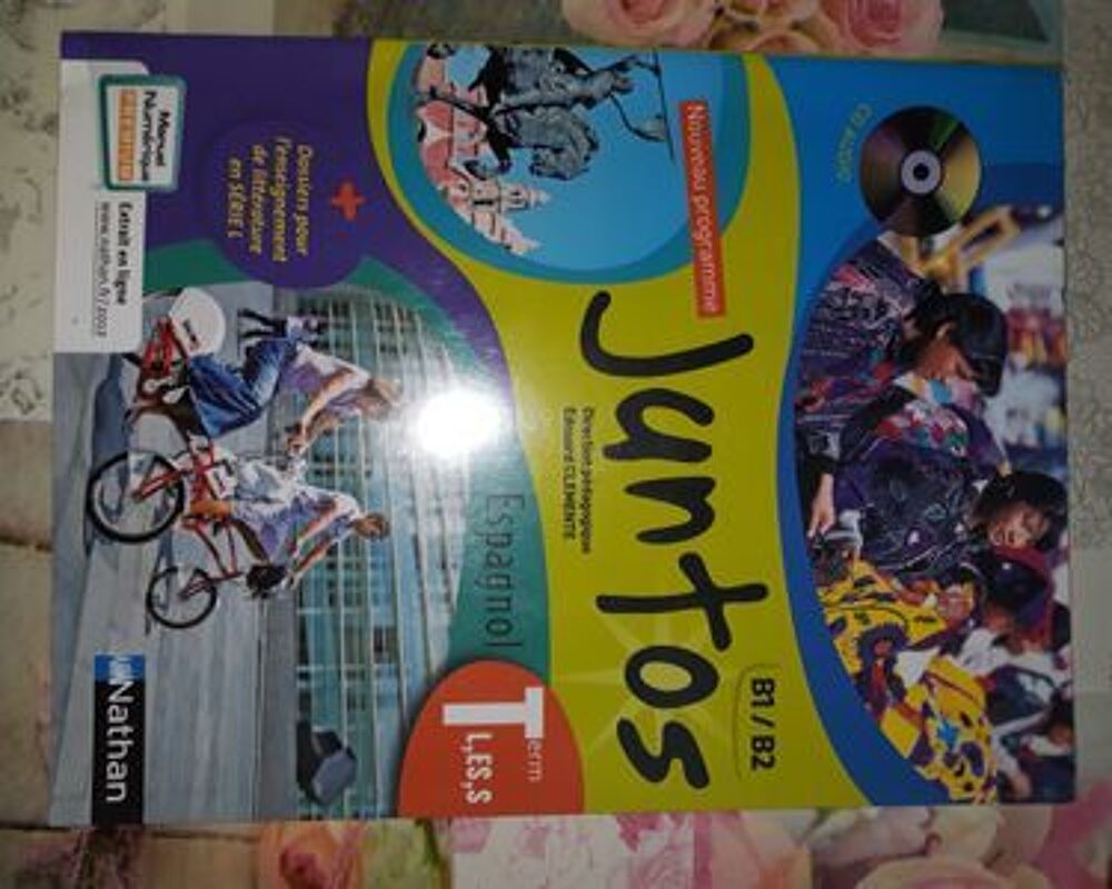 Manuel scolaire espagnol Livres et BD
