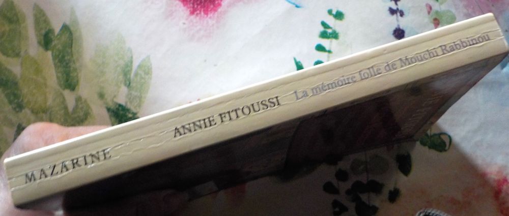 LA MEMOIRE FOLLE DE MOUCHI RABBINOU de Annie FITOUSSI Livres et BD