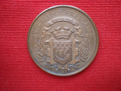 Médaille de l'Assistance Publique 1890-1891. 45 Caen (14)