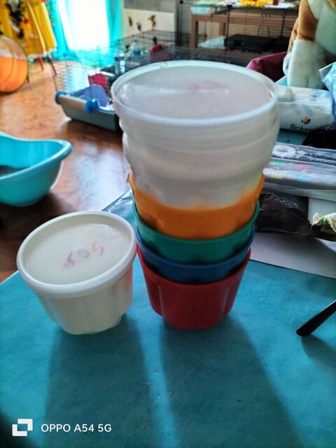 Verre pour flan Othis (77)