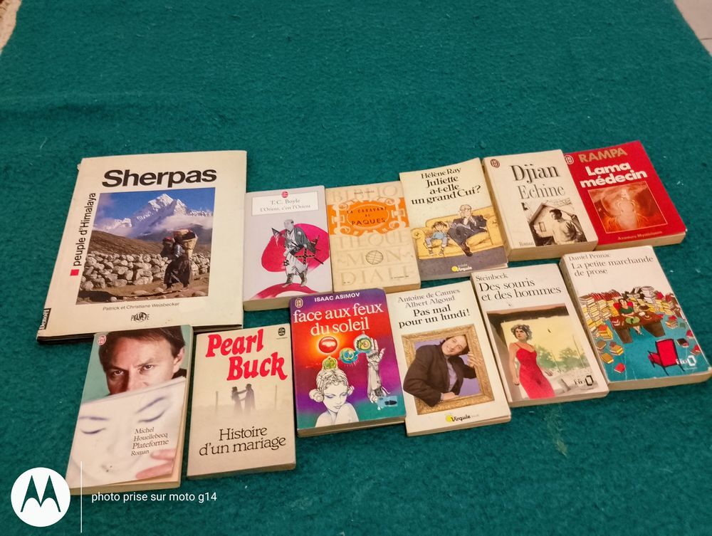 Livres, romans, divers, vendus en lots de 5, au choix Livres et BD