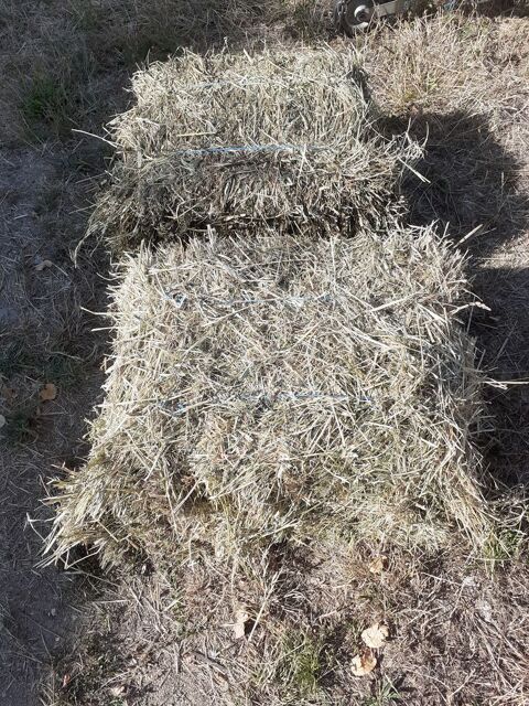 Foin de prairie naturelle 1 49250 Saint-georges-du-bois