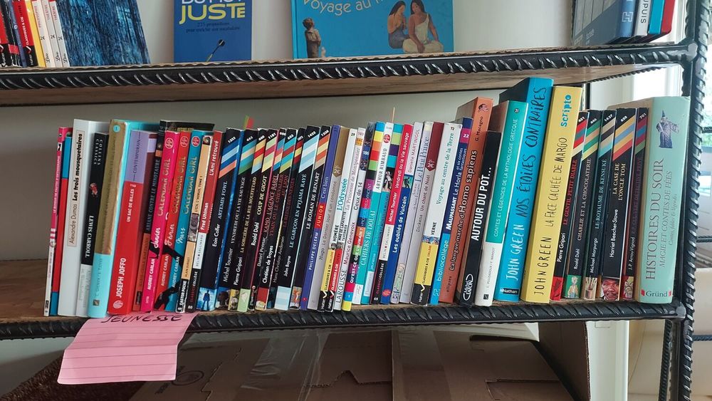 Livre jeunesse et d'apprentissage Livres et BD