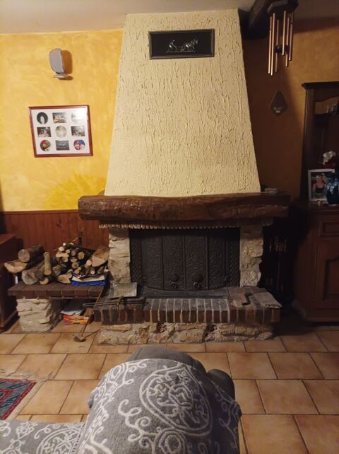 poele  bois insert JOTUL 18
550 Bray-sur-Seine (77)