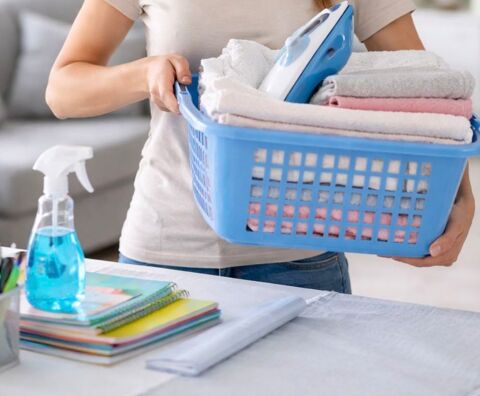 : Services &agrave;  domicile �" M&eacute;nage, locations saisonni&egrave;res, repassage, aide aux courses, aide aux devoirs 0 34300 Agde