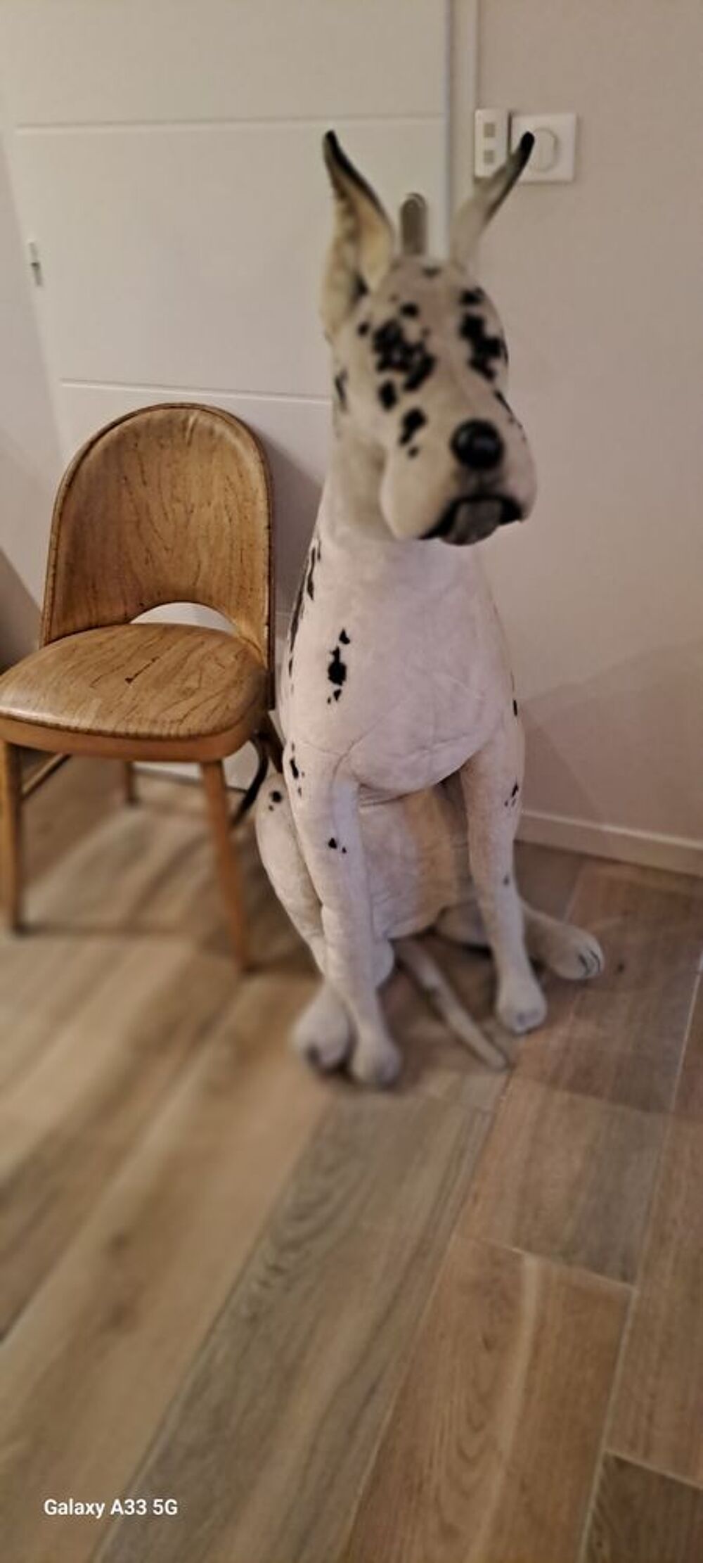 Chien Dog Allemand en peluche couleur Arlequin Décoration
