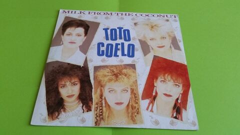 TOTO COELO 0 Toulouse (31)