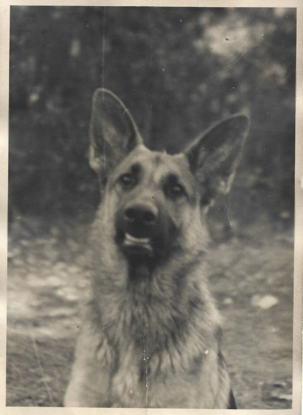 Lot de 21 photographies et portraits anciens / cartonn&eacute;s 