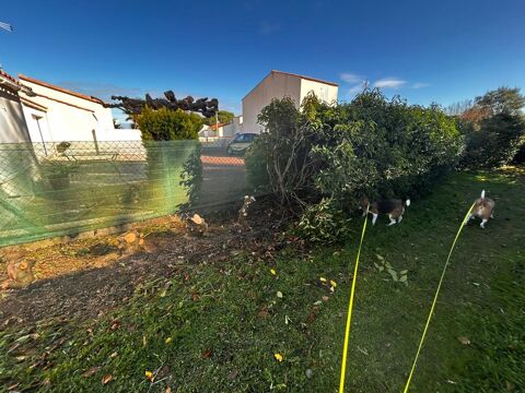 Moto HONDA 2008 occasion L'Aiguillon-sur-Mer 85460