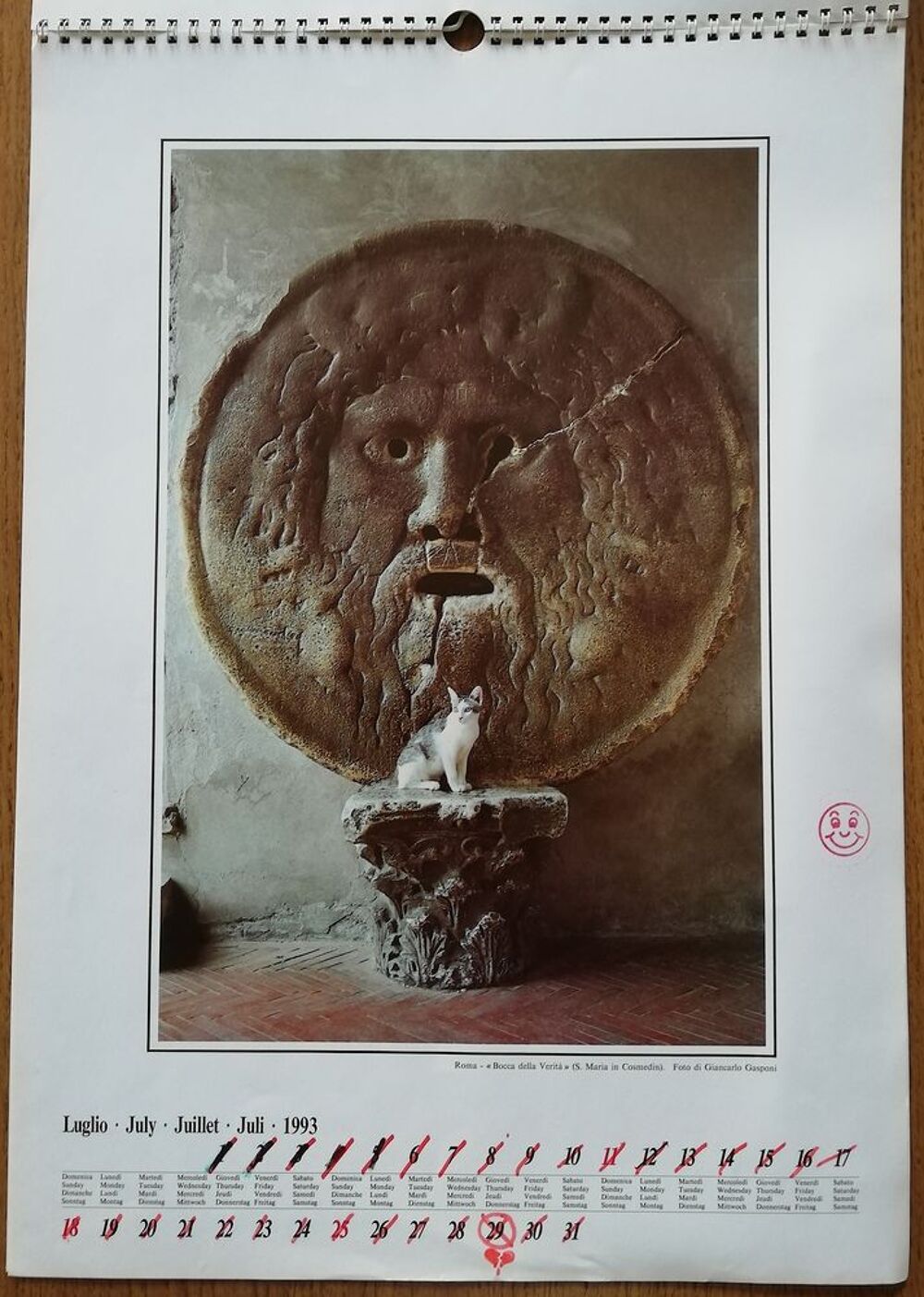 Calendrier "Gatti di Roma" de 1993 (49X35cm) 
