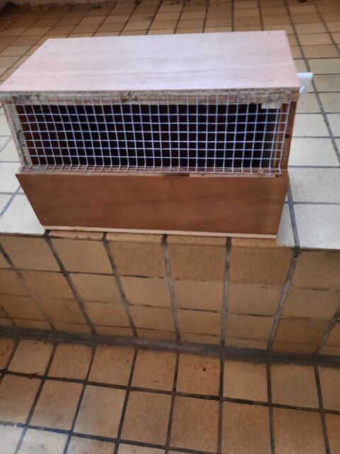 Petites cages de transport 59670 Bavinchove