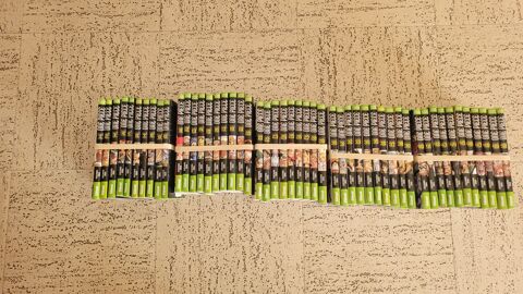 50 ONE PIECE Courbevoie (92)