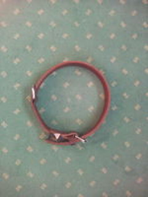   Collier Chien / Chiot T2 