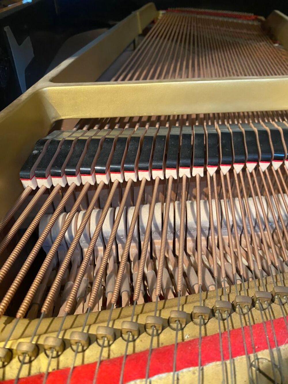 Piano 1/4 de queue Yamaha G3 Instruments de musique
