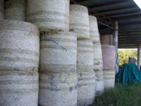   foin balles  ronde 120 /120 
et un tracteur  