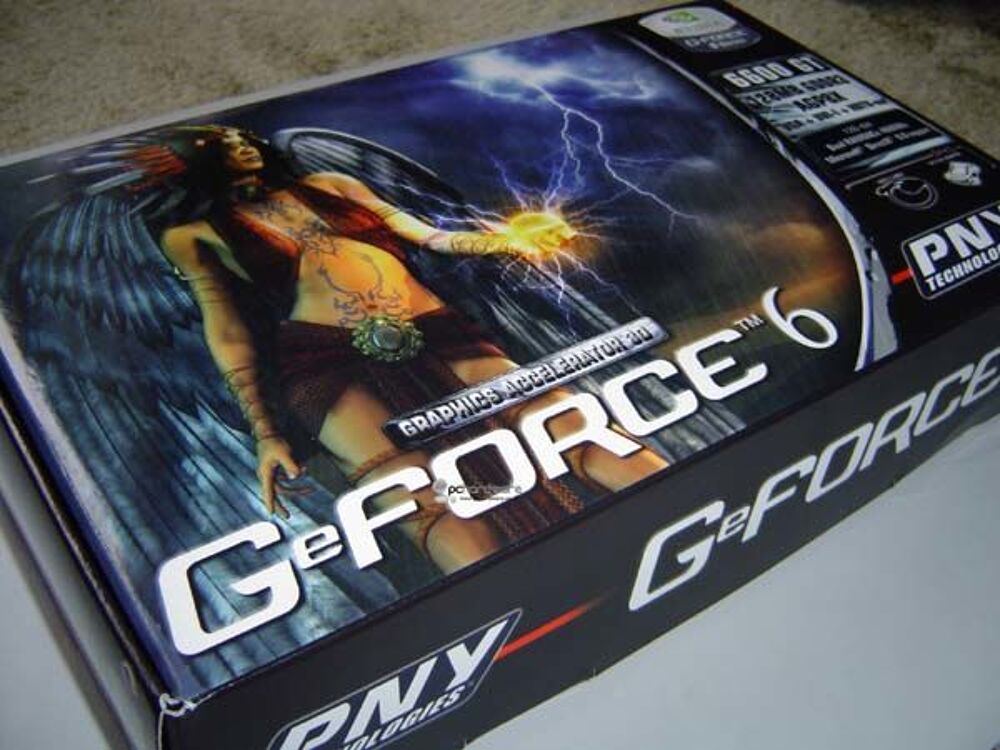 CARTE GRAPHIQUE PNY NVIDIA GEFORCE 6600GT Matériel informatique