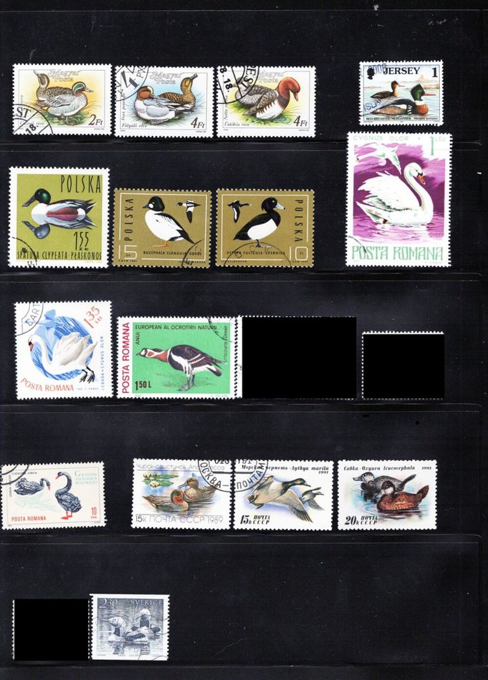 lot de 31 timbres du MONDE avec des PALMIPEDES 
