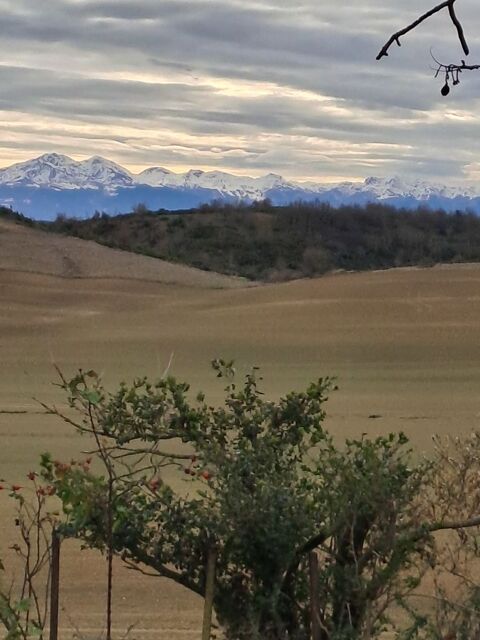   MAISON 6 PIECES CAMPAGNE Maison - 6 pi�ce(s) - 157 m�