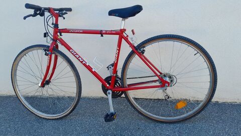 vtc 700 homme ''giant''custom 65 Marignane (13)