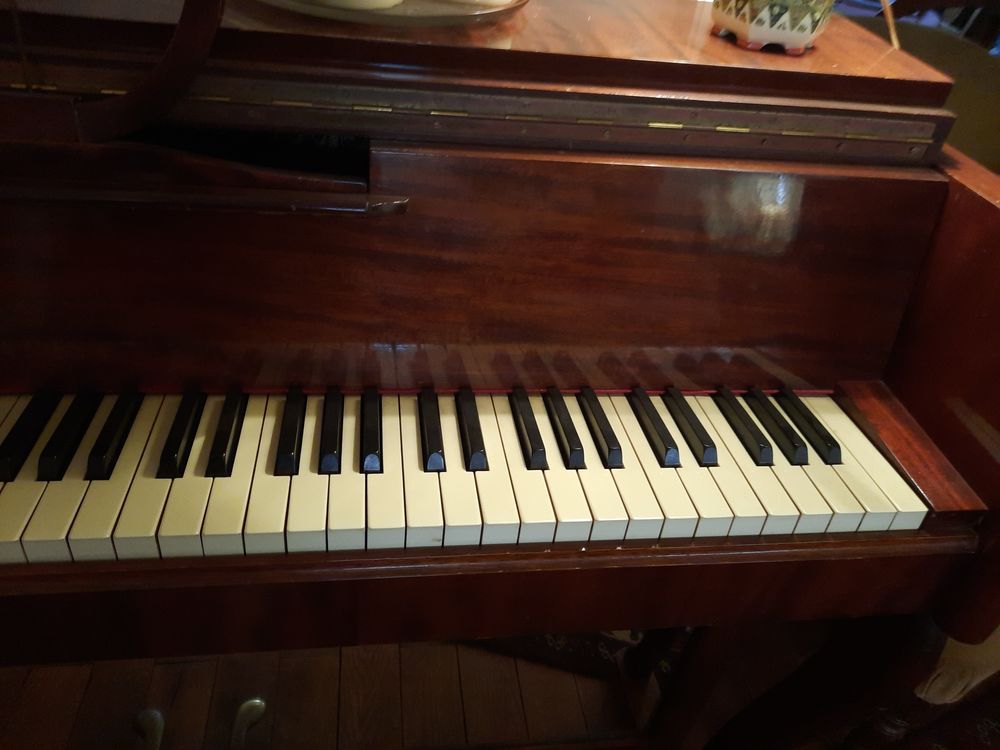 Piano droit acoustique Gaveau, mod&egrave;le "Menuet" ?	 Meubles
