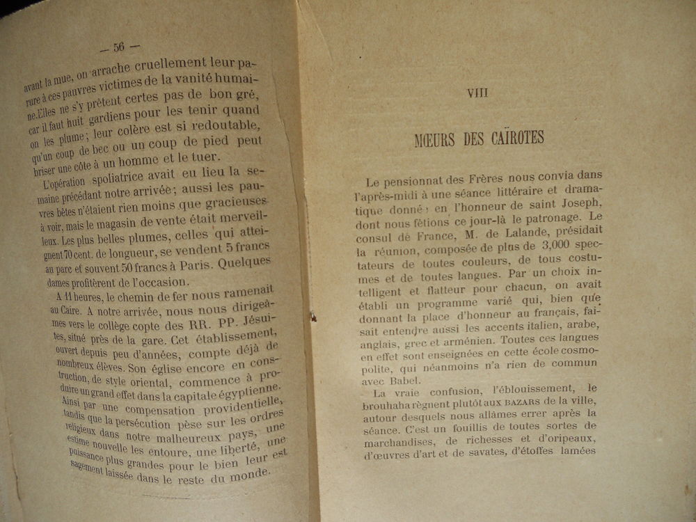 EGYPTE et PALESTINE souvenirs de p&egrave;ler.1890 l'Abb&eacute; A.Parraud Livres et BD