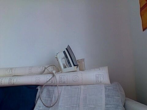 fer  repasser rowenta 25 Ivry-sur-Seine (94)