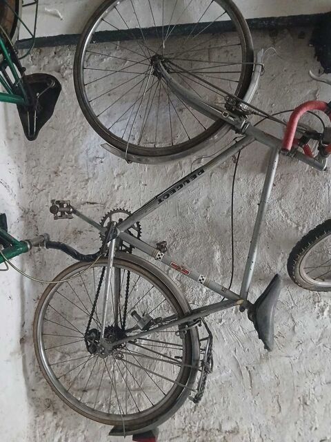 VELO Voves (28)