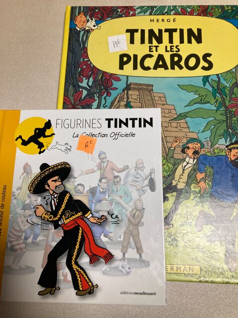  BD TINTIN 10 Arras (62)