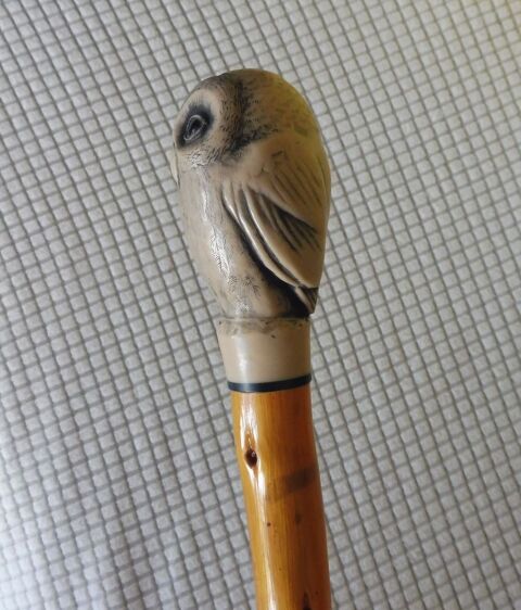 Canne en bois, pommeau t�te de hibou 65 Limoges (87)
