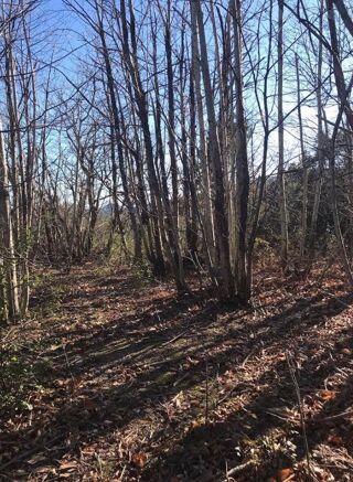  Terrain � vendre 14980 m� Vieussan