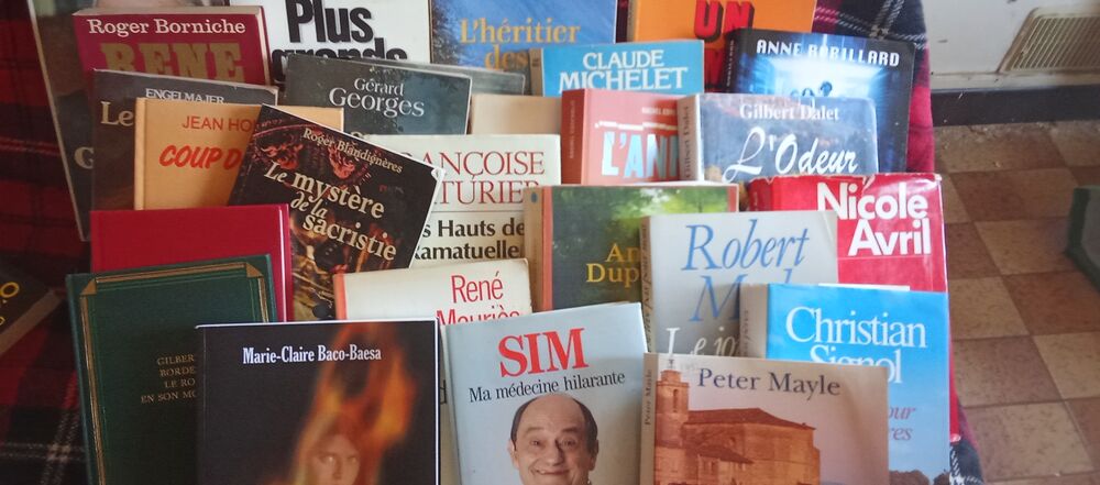 Romans et livres de poche Livres et BD