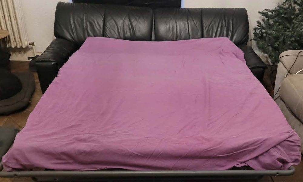 CANAPE CONVERTIBLE EN CUIR 3 PLACES Meubles