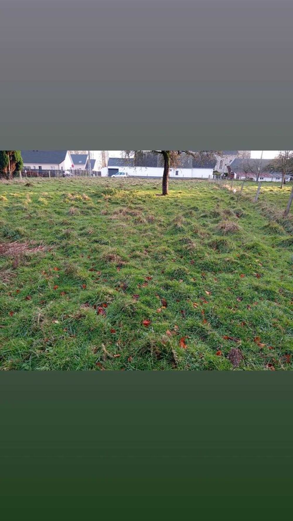 Vente Terrain Terrains viabilisés petit village Normand Sainte-marguerite-sur-fauville