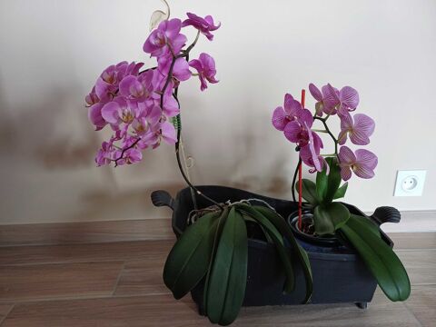 jardini�re 25 Mayenne (53)