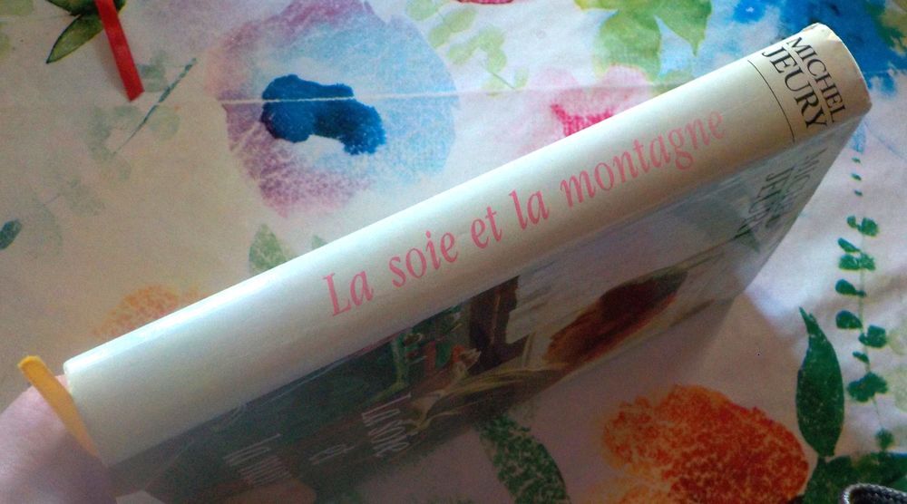 LA SOIE ET LA MONTAGNE T2 de LA VALLEE DE LA SOIE de M JEURY Livres et BD