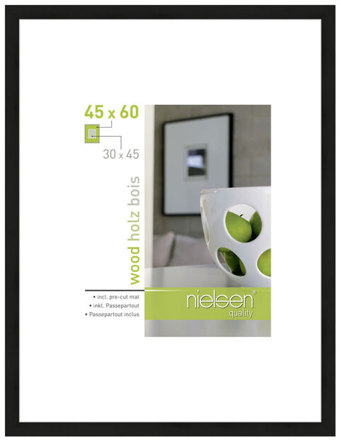 Lot cadres Nielsen Apollo noir 45x60cm Pau (64)