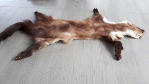 deux peaux de vison 20 Le Mans (72)