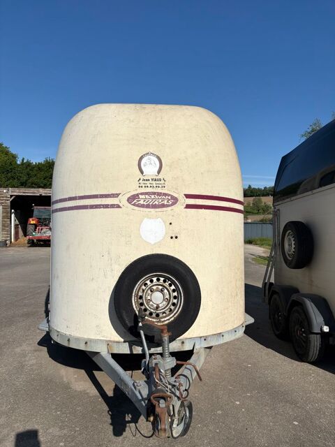 van pour chevaux 7500 56310 Guern