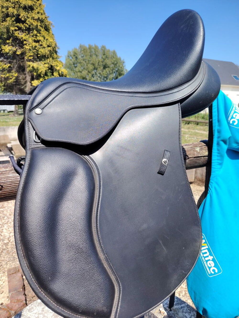 Selle de cheval Sports