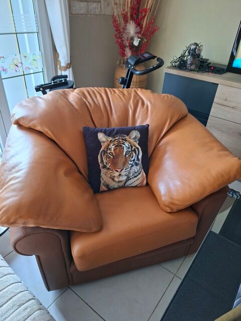 Canap�  cuir buffle 2 places et 1 fauteuil 350 Sondersdorf (68)