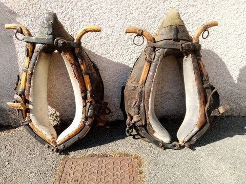 collier de cheval 80 Volx (04)