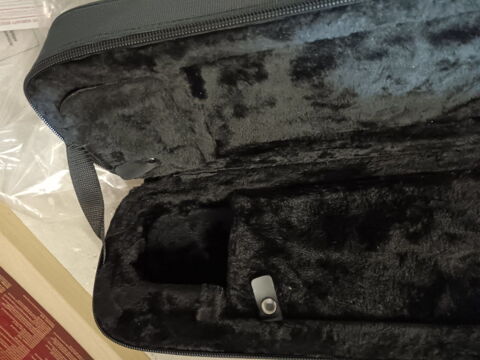 �tui trombone 120 Busigny (59)