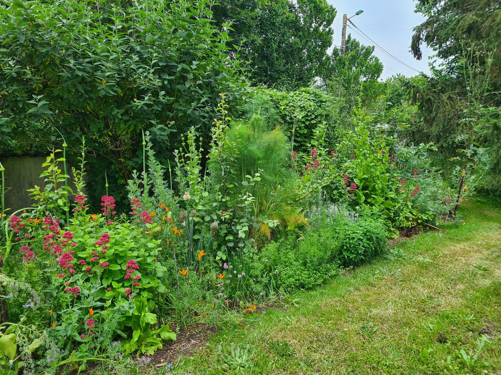  Jardinier expérimenté 