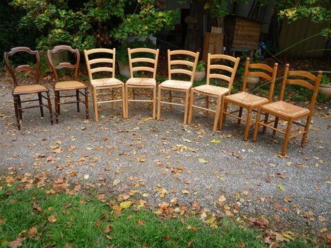 Chaises paillées,lot de chaise (G) 15 Castres (81)