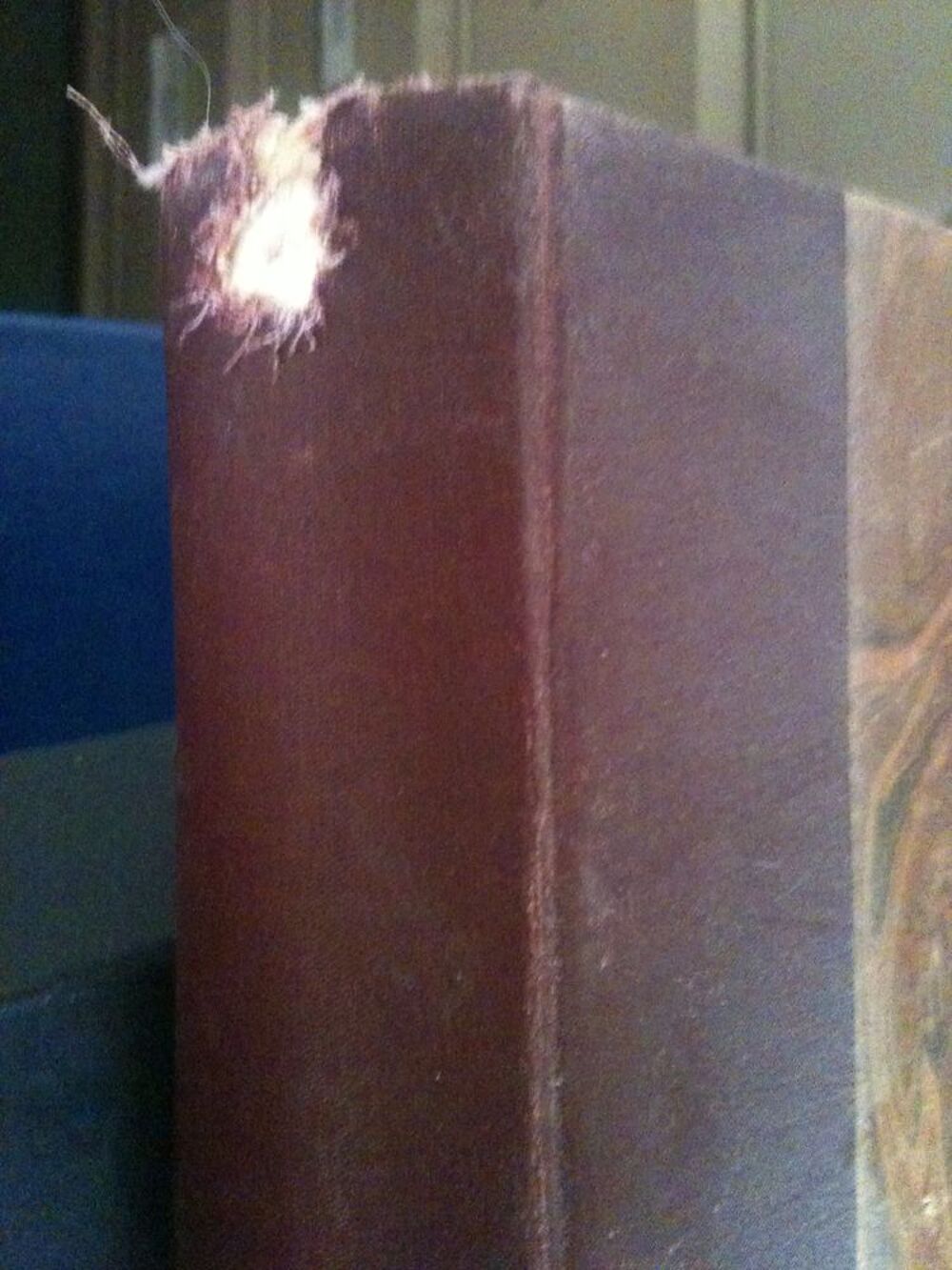 Les Anc&ecirc;tres Livre, du Journal &amp; de l'Almanach France, 1925 Livres et BD