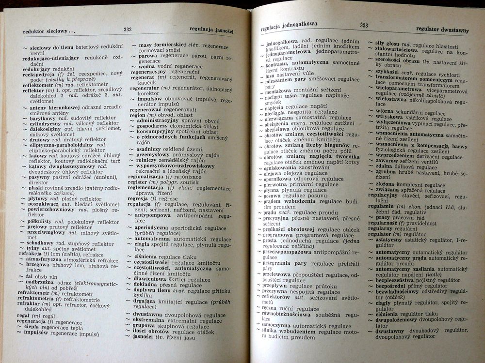 Dictionnaire technique Polonais - Tch&egrave;que Livres et BD