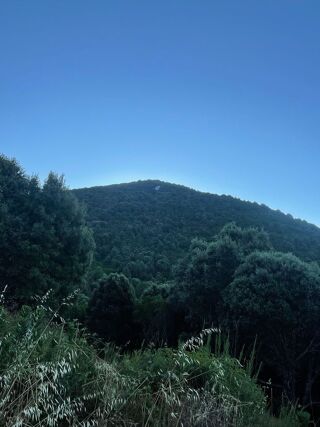  Terrain à vendre 50000 m²