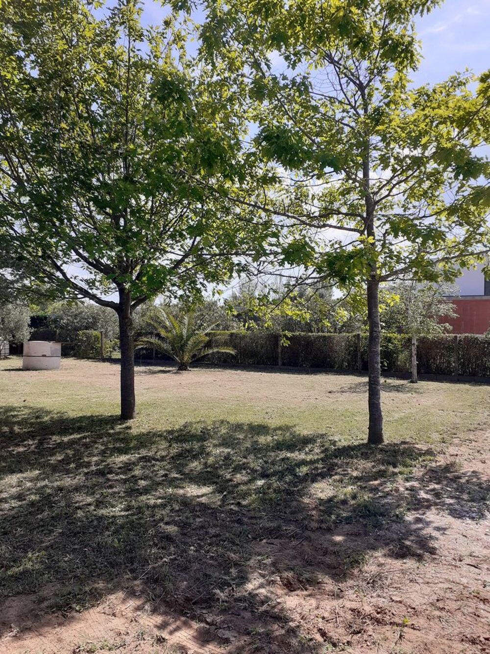 Vente Terrain Terrain 589 m2 ZAC Jardins de Sérignan Sérignan